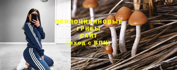 ГАЛЛЮЦИНОГЕННЫЕ ГРИБЫ Беломорск